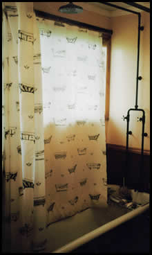 shower over bath